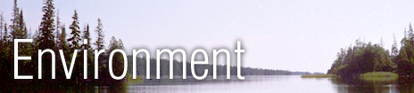 Environment