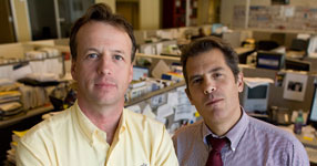  landay & strobel